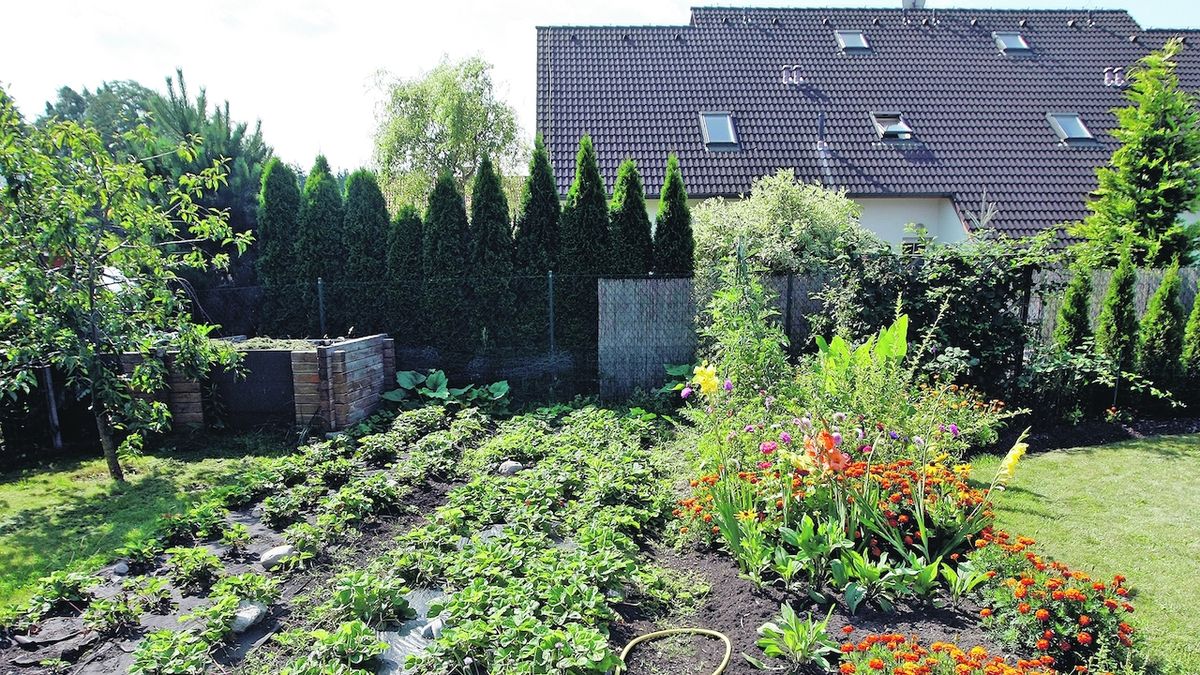 Zeleninu či ovoce pěstuje polovina Čechů. Kvůli úspoře peněz to většinou nedělají